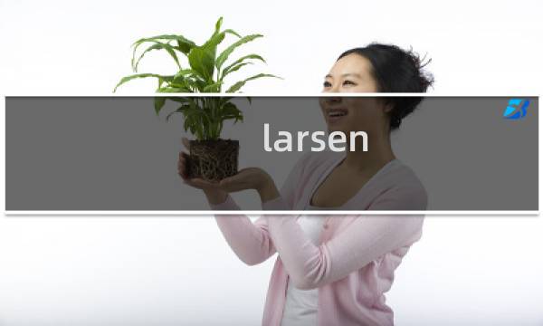 larsen xo价格图片