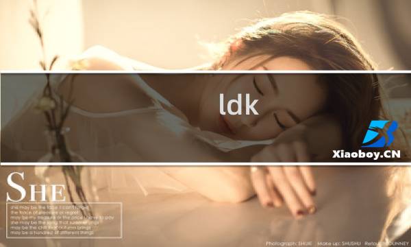 ldk room攻略
