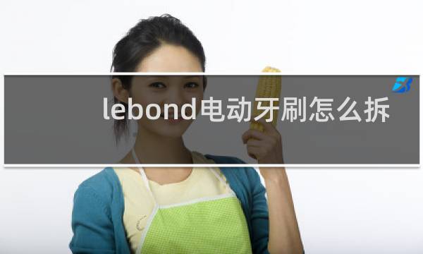 lebond电动牙刷怎么拆