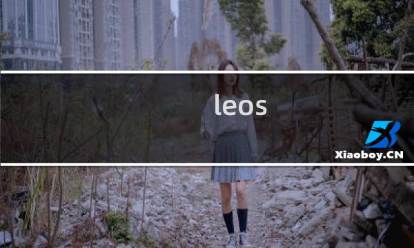 leos fortune攻略