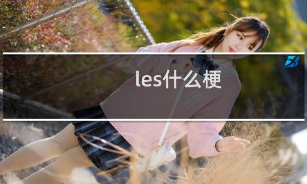 les什么梗