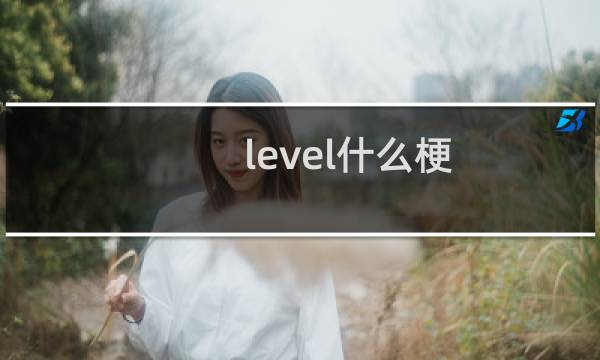 level什么梗