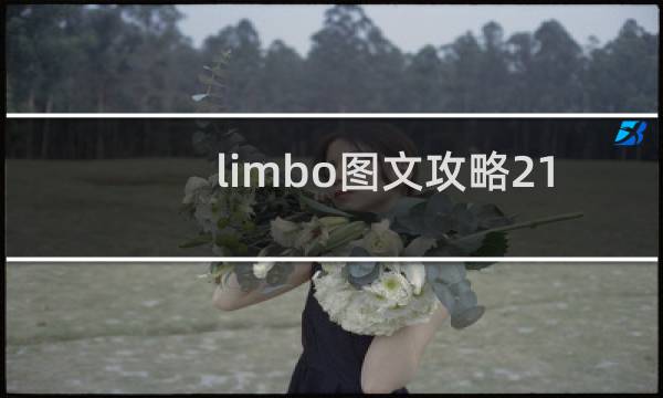 limbo图文攻略21