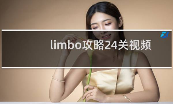 limbo攻略24关视频