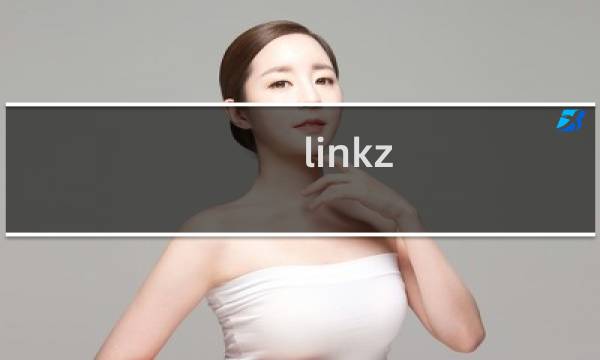 linkz 探索攻略