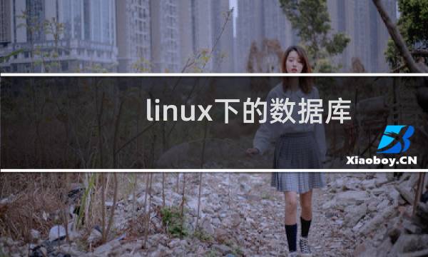 linux下的数据库