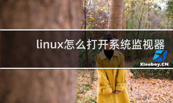 linux怎么打开系统监视器