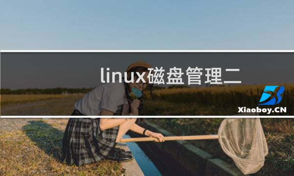 linux磁盘管理二