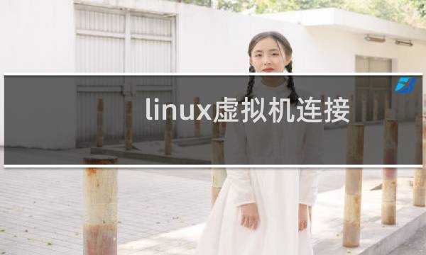 linux虚拟机连接网络（在Linux下使用网络加速器netpas）图片