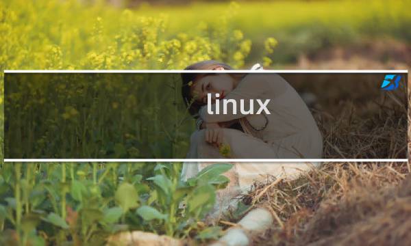 linux crontab定时命令