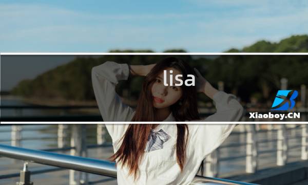 lisa pc 攻略