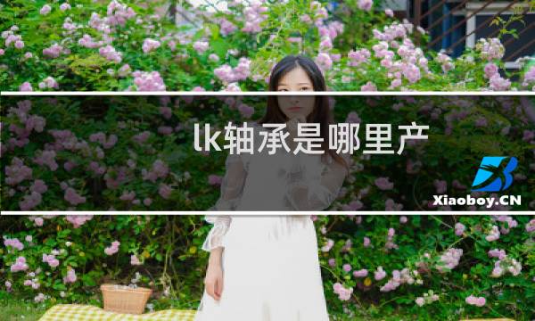 lk轴承是哪里产