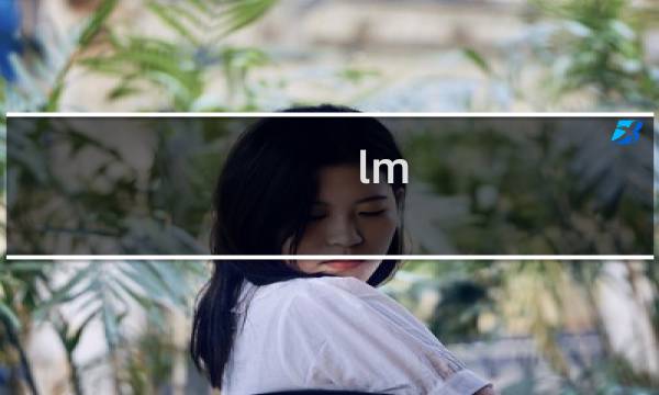 lm 任务攻略