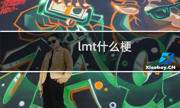 lmt什么梗