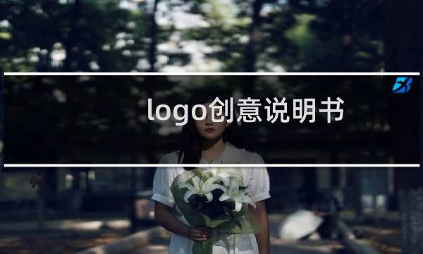 logo创意说明书