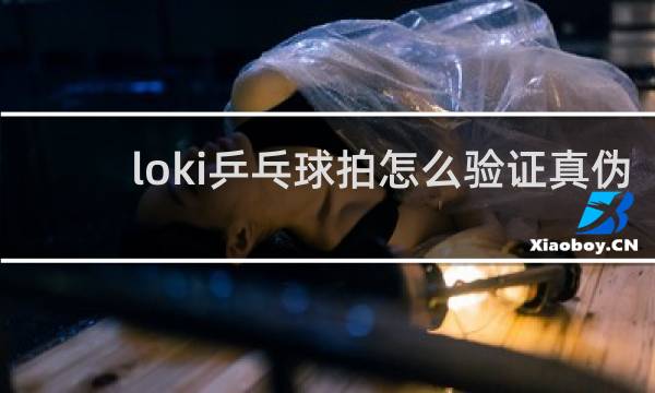 loki乒乓球拍怎么验证真伪