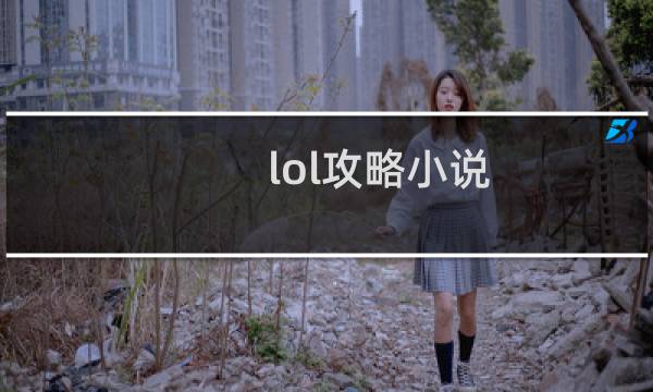 lol攻略小说