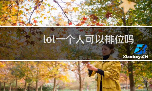 lol一个人可以排位吗图片