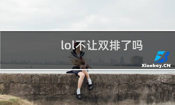 lol不让双排了吗