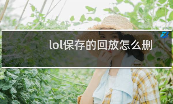 lol保存的回放怎么删除图片