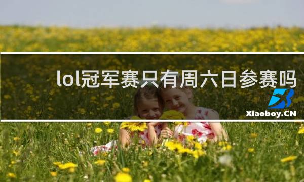 lol冠军赛只有周六日参赛吗