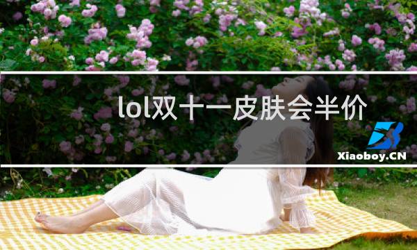 lol双十一皮肤会半价吗2020图片
