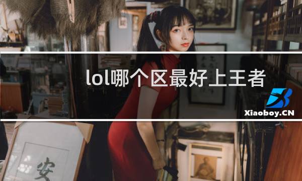 lol哪个区最好上王者图片