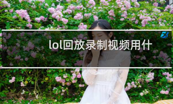 lol回放录制视频用什么打开图片