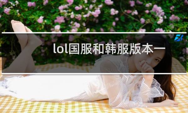 lol国服和韩服版本一样吗图片