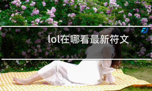 lol在哪看最新符文图片