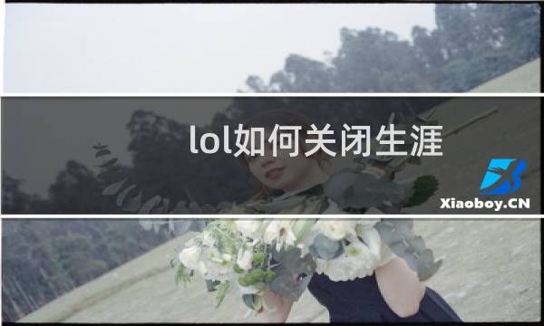 lol如何关闭生涯