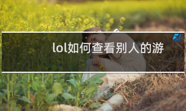 lol如何查看别人的游戏