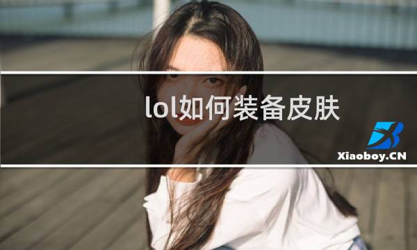 lol如何装备皮肤图片