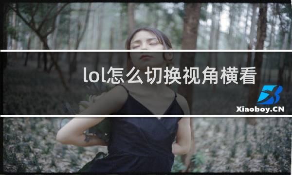 lol怎么切换视角横看人物图片