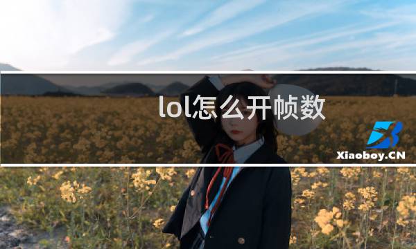 lol怎么开帧数图片