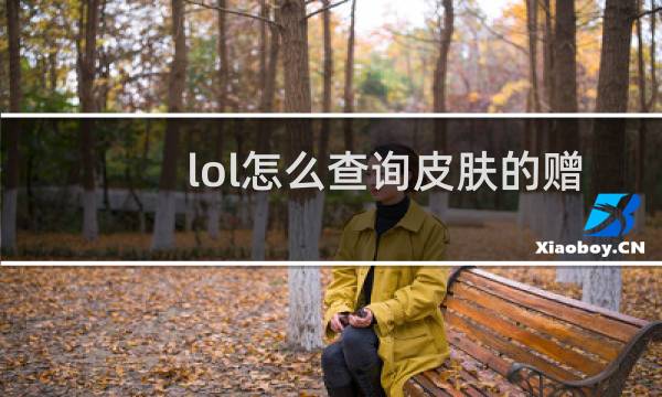 lol怎么查询皮肤的赠送