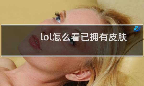 lol怎么看已拥有皮肤的价格