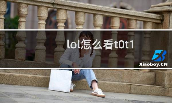 lol怎么看t0t1