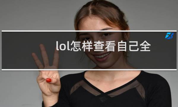 lol怎样查看自己全部英雄皮肤 英雄联盟皮肤查询