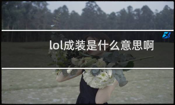lol成装是什么意思啊
