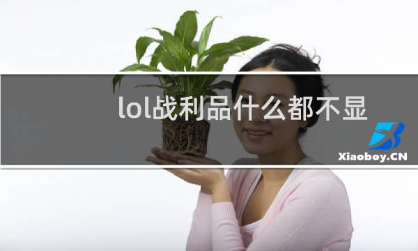 lol战利品什么都不显示图片