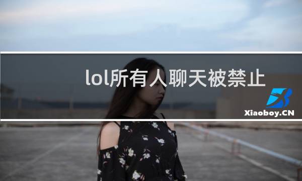 lol所有人聊天被禁止只有国服吗图片