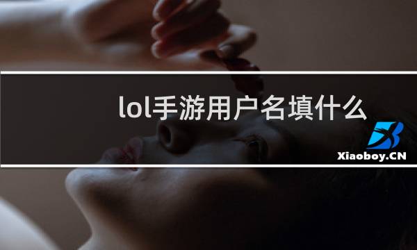 lol手游用户名填什么图片