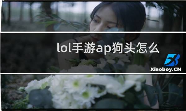 lol手游ap狗头怎么出装图片