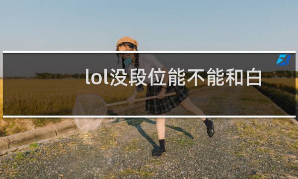 lol没段位能不能和白银图片