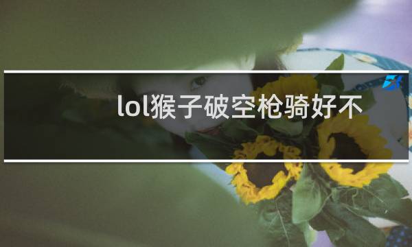 lol猴子破空枪骑好不好图片