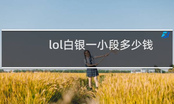 lol白银一小段多少钱图片