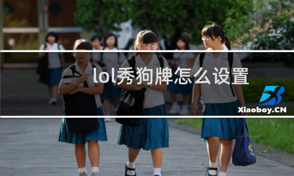 lol秀狗牌怎么设置