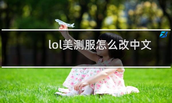 lol美测服怎么改中文图片