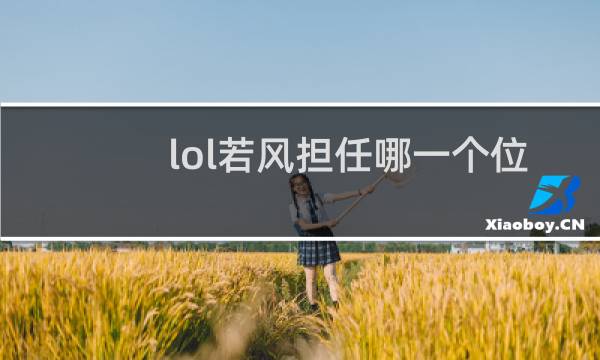 lol若风担任哪一个位置图片